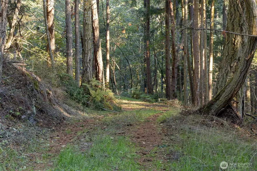 0 Hyak LN, Friday Harbor, WA 98250