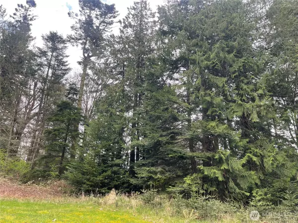 Port Hadlock, WA 98339,999 Old Ferry RD