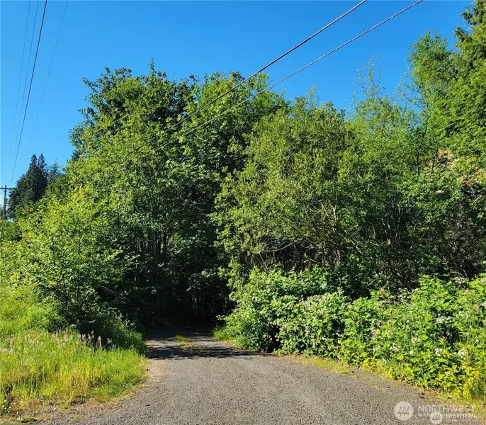 381 E State Route 4, Cathlamet, WA 98612