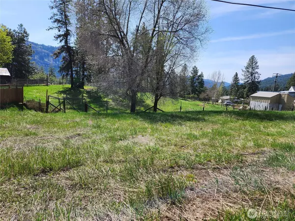 Republic, WA 99166,201 Tiger LN