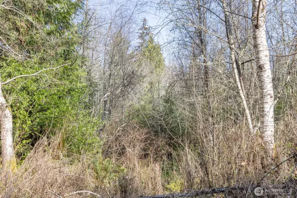 Port Angeles, WA 98362,9999 N Bagley Creek RD