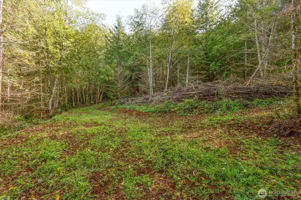 217 Deer Fern LN, Longview, WA 98632