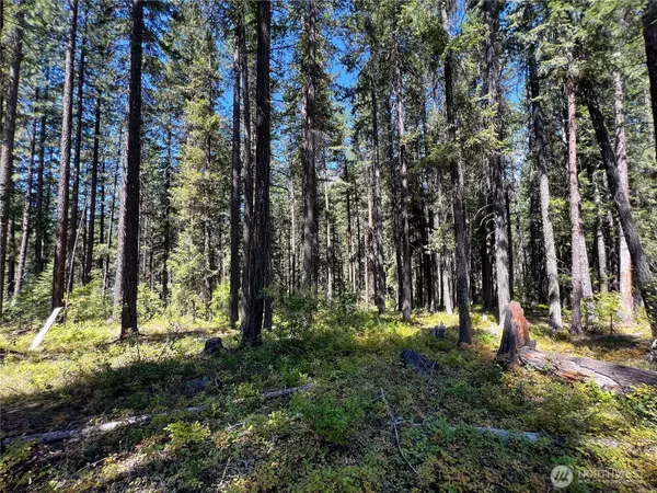 Leavenworth, WA 98826,19 Noble LN