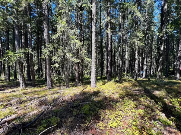 Leavenworth, WA 98826,22745 Lake Wenatchee HWY
