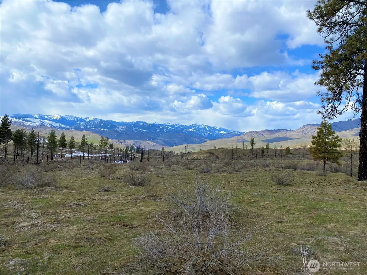 Methow, WA 98834,817 Bill Shaw RD