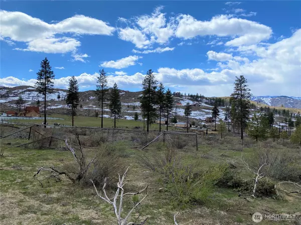Methow, WA 98834,817 Bill Shaw RD