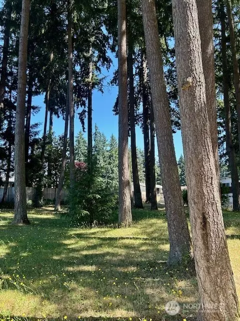Lacey, WA 98503,7710 Bobcat DR SE