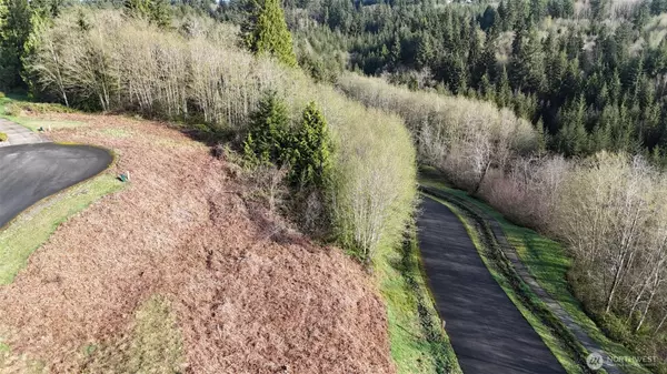 Elma, WA 98541,26 Timber LN