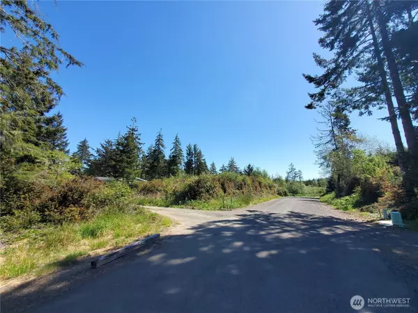 Ocean Park, WA 98640,0 219th ST