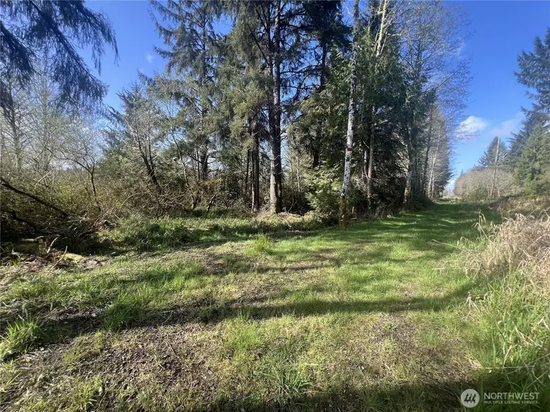 0 3rd St, Cosmopolis, WA 98537