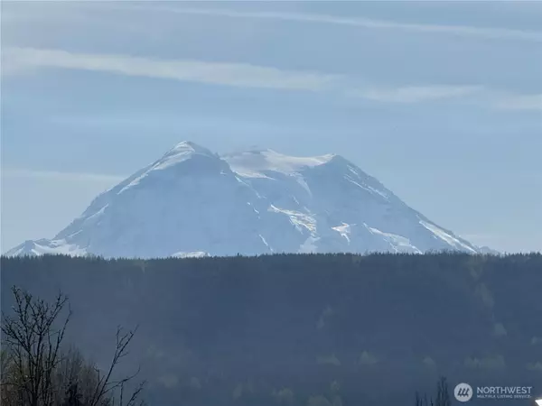 Graham, WA 98338,29512 152nd AVE E