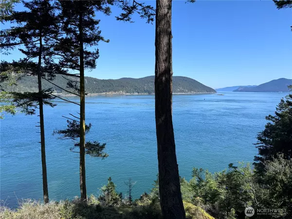 Decatur Island, WA 98221,218 Pass View RD