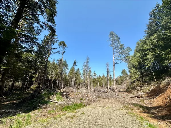 0 40th ST, Seaview, WA 98644