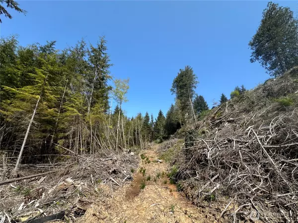 Seaview, WA 98644,0 40th St. ST