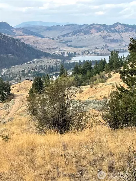 71 Desparado RD, Oroville, WA 98844