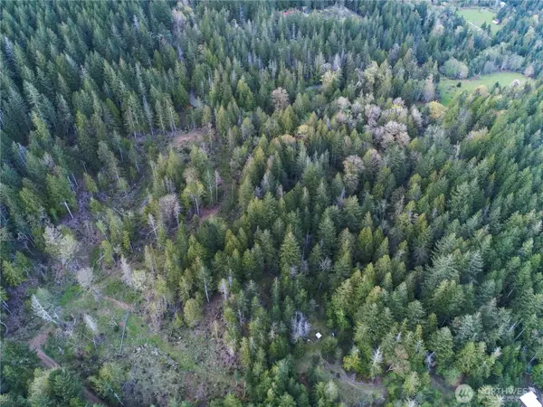 Brinnon, WA 98320,0 Tax Id #  932100615 & 93210061