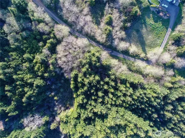 Hoquiam, WA 98550,0 Alpine Ln