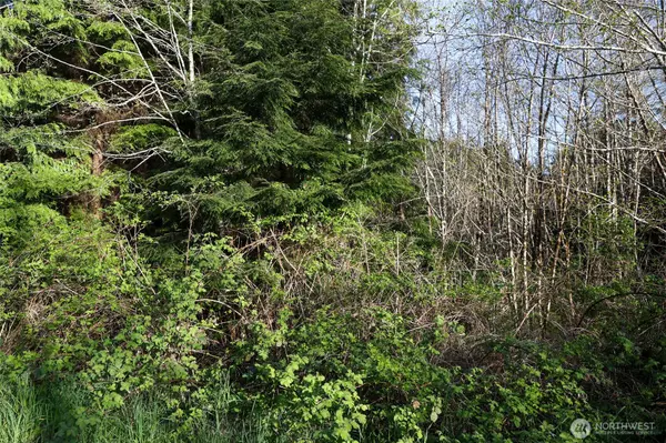 Hoquiam, WA 98550,0 Alpine Ln