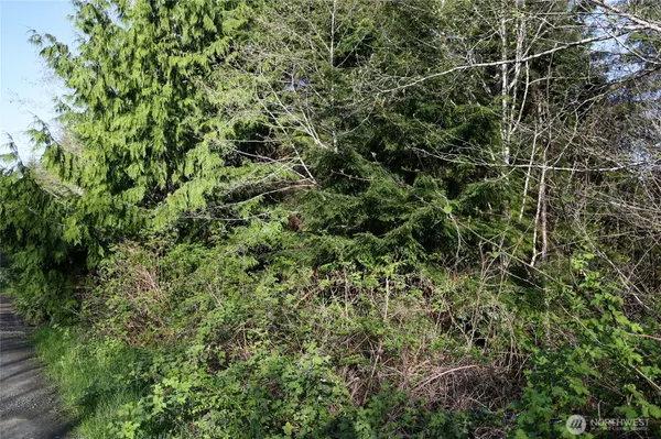 Hoquiam, WA 98550,0 Alpine Ln