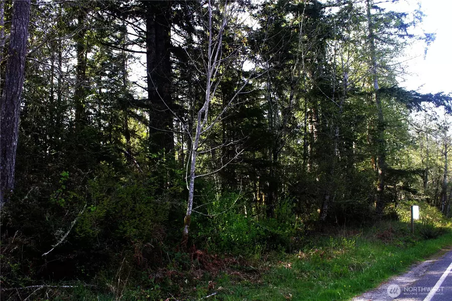 0 Go Onna, Quilcene, WA 98376