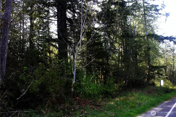 0 Go Onna,  Quilcene,  WA 98376