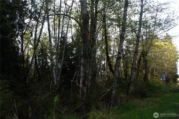 Quilcene, WA 98376,0 Go Onna