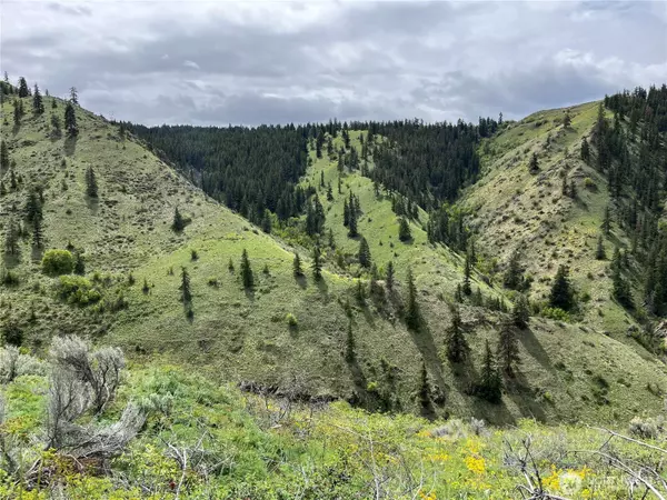 3 Tyee View LOOP, Orondo, WA 98843