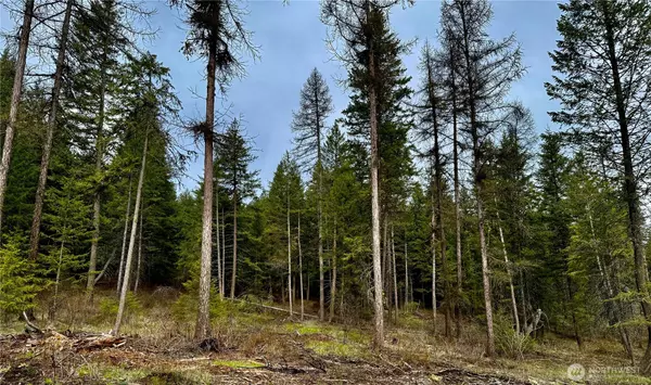Fruitland, WA 99129,6200 Brisbois RD #D