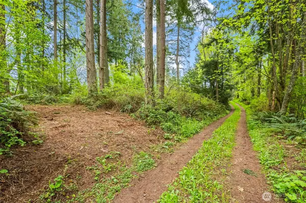 Hansville, WA 98340,37218 Loki Bluff DR NE