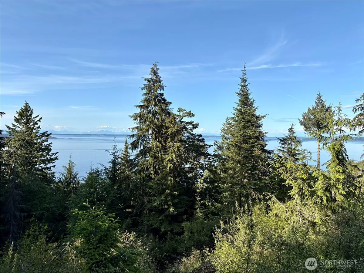 Orcas Island, WA 98245,0 Raccoon Point RD #Lot 19