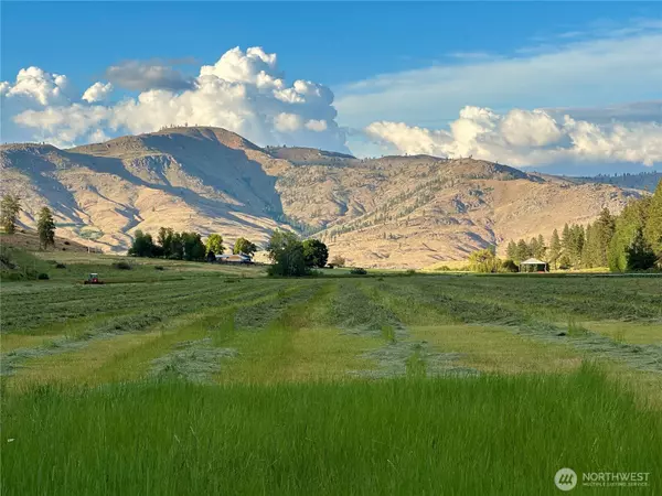 Methow, WA 98834,240 McFarland Creek Road