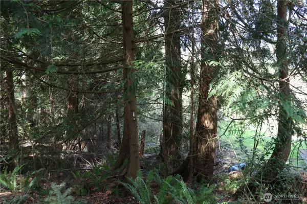 Sammamish, WA 98075,260 XX SE 18th PL