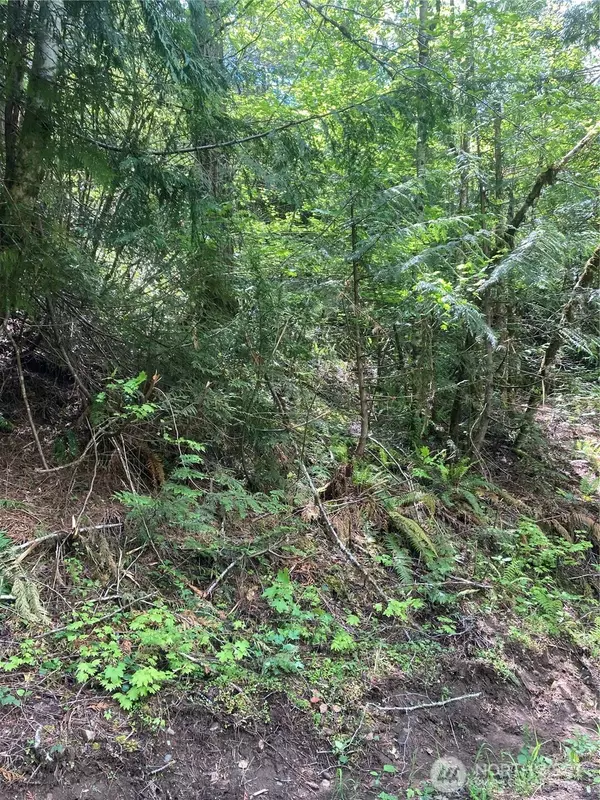 Hoodsport, WA 98548,12 Dow Ridge RD