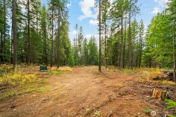 0 S Shugart Flats RD, Leavenworth, WA 98826