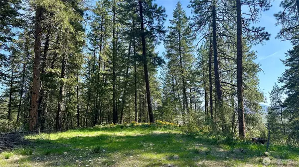 13 Sundance LN, Winthrop, WA 98862