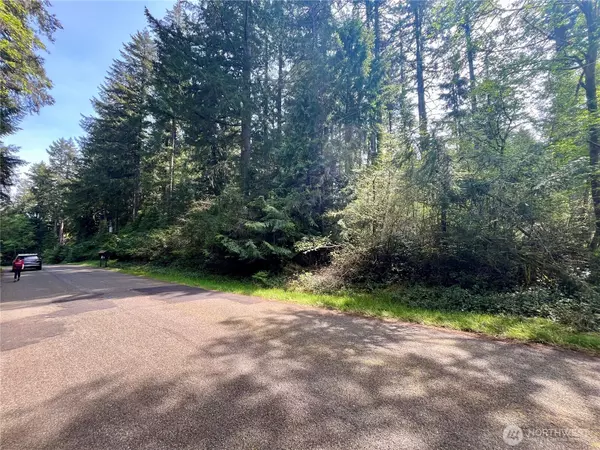 Anderson Island, WA 98303,11212 &11208 106th ST