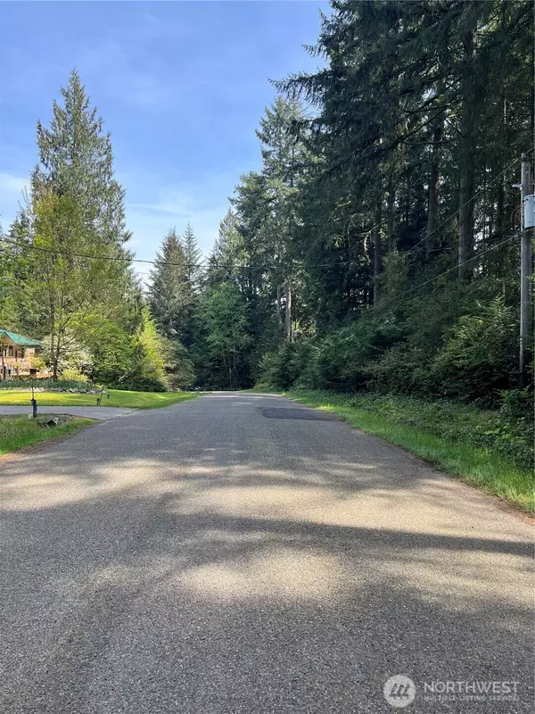 Anderson Island, WA 98303,11212 &11208 106th ST