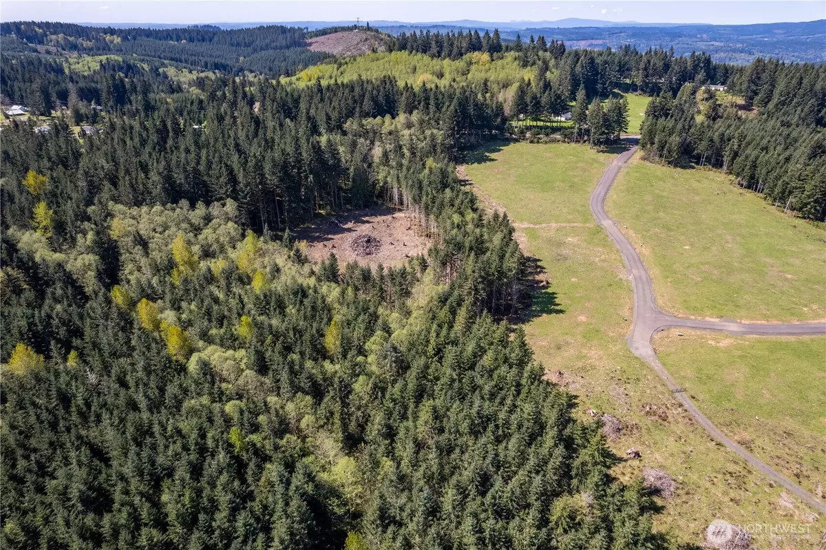Castle Rock, WA 98611,0 Silverwood DR #Lot F2