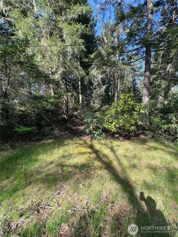 Anderson Island, WA 98303,10702 Pioneer DR