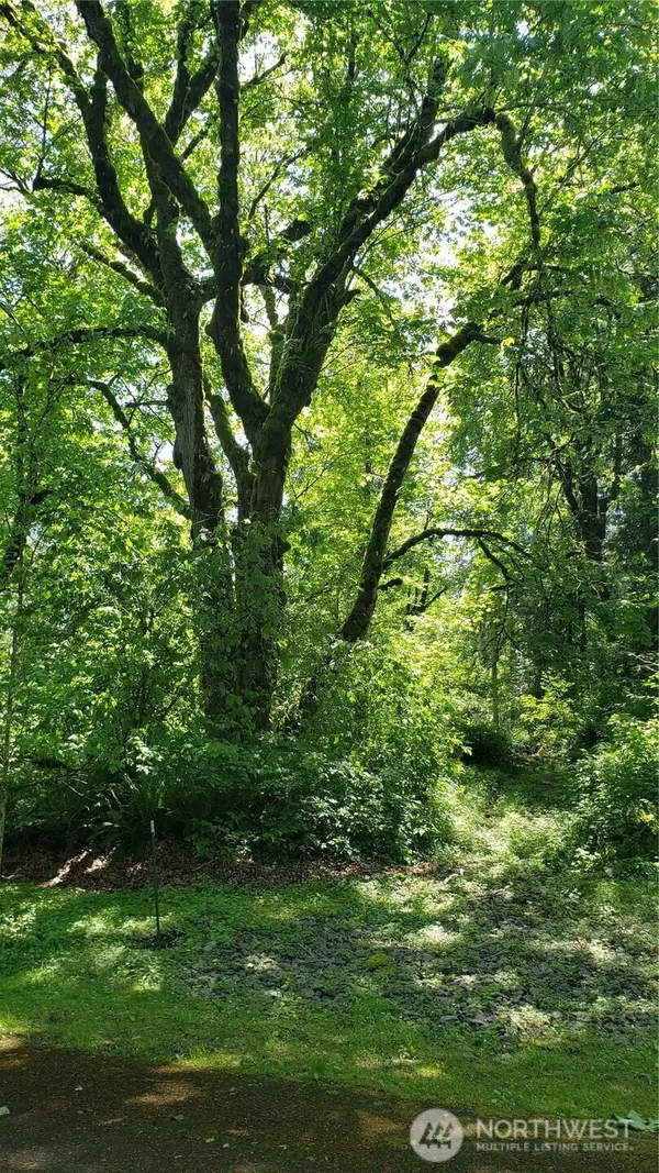 Maple Valley, WA 98038,2114 X 212th (Lot #2) AVE SE