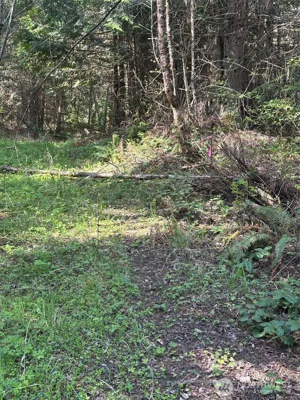 Port Angeles, WA 98362,9999 Pristine Lane, Lot 3