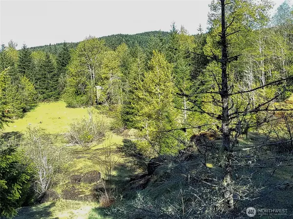1513 State Route 8, Mccleary, WA 98557