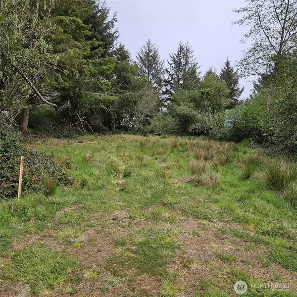 Ocean Shores, WA 98569,382 SW Cygnus AVE