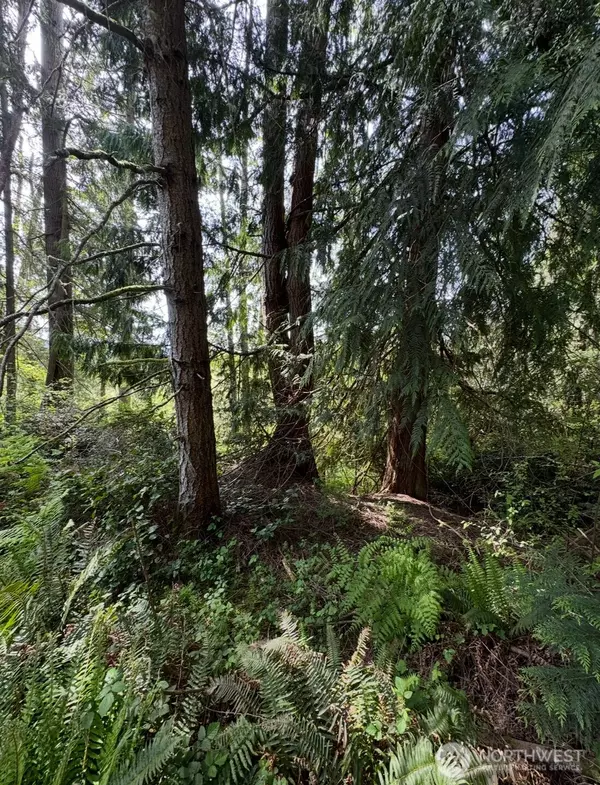 11106 Spruce Dr, Anderson Island, WA 98303