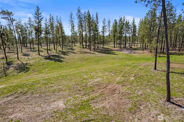 5742 Corkscrew Canyon RD, Tumtum, WA 99034