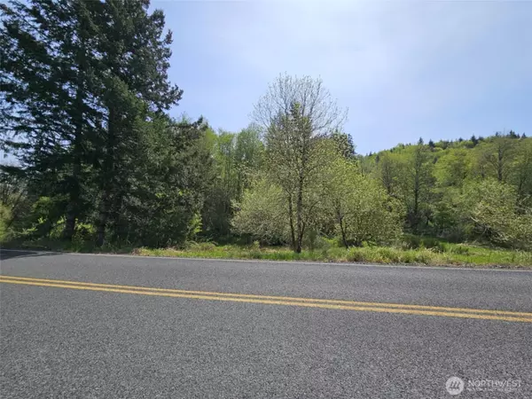 Boistfort, WA 98532,0 Lost Valley RD
