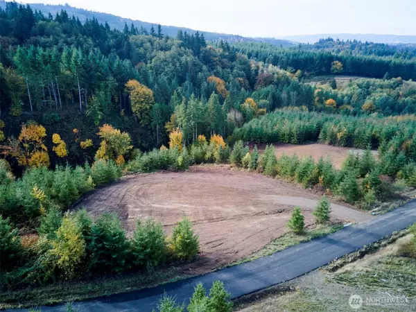 Kelso, WA 98626,377 Bighorn DR