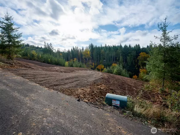 Kelso, WA 98626,377 Bighorn DR