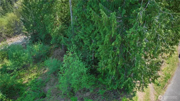 Brinnon, WA 98320,0 Cedar PL