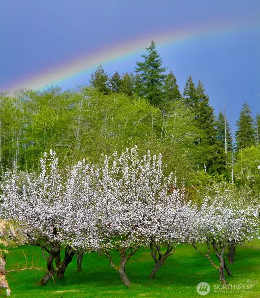 265 Walgren RD, Port Angeles, WA 98363